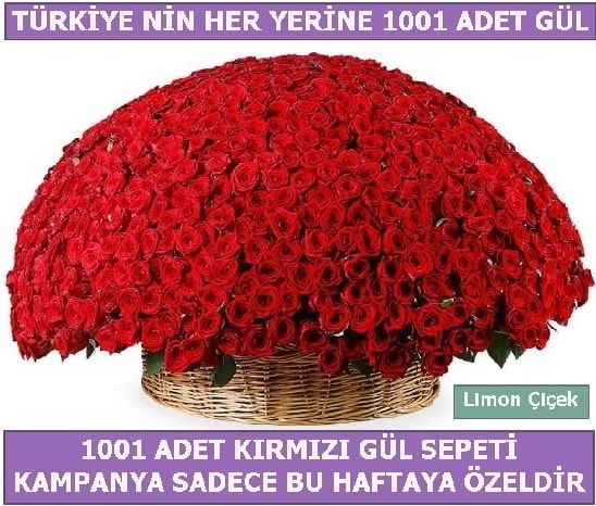 1001 Adet krmz gl Bu haftaya zel  Zonguldak ieki maazas 